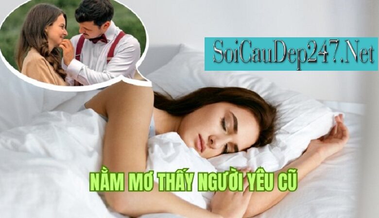Tìm Hiểu Mơ Thấy Người Yêu Cũ Đánh Số Gì?
